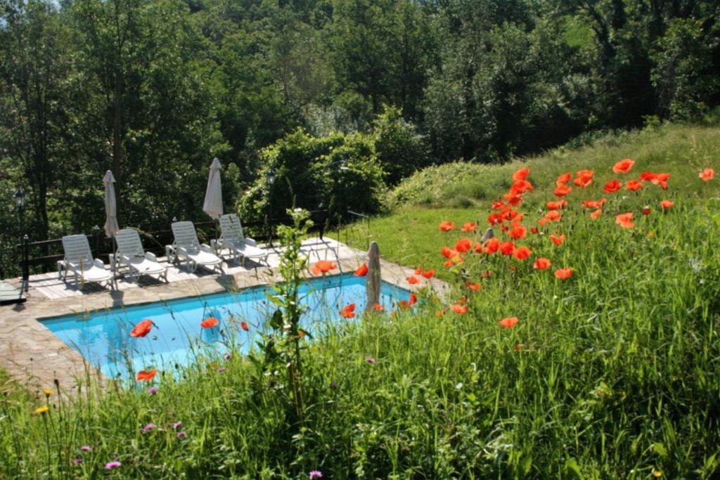 Casa Domenica - Home&More Monastero Bormida المظهر الخارجي الصورة